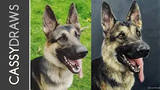 Painting a German Shepherd in Acrylics