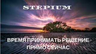Stepium   время принимать решение прямо сейчас