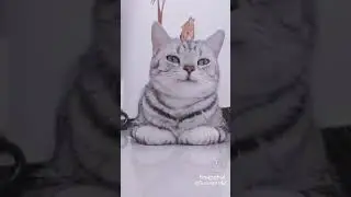 wait for the cat to smile 