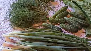 Желаем всем Богатых урожаев