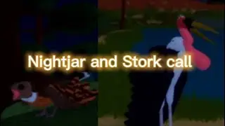 Nightjar and Stork call