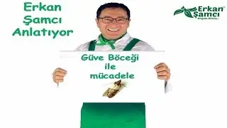 Güve Kelebeği nasıl yok edilir