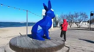 11.02. Прогулка по Анапе.