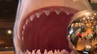Jaws Pinball at the Dutch Pinball Museum