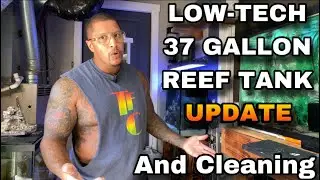 LOW-TECH 37 GALLON REEF TANK UPDATE