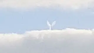 Flying Angel in TEXAS (CGI)