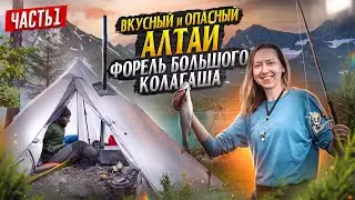 There's so much BROWN TROUT here! More bear tracks. A hike in the Altai Mountains along the Bolsh...