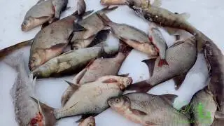 FISHING ON THE REFTEN RESERVOIR, PIKE-PERCH ON THE HOOK, BREAM ON THE JIG! GREEDY BITING, FISHING...