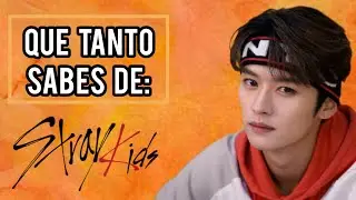 ¿QUE TANTO SABES DE STRAY KIDS? | QUIZ PARA STAY