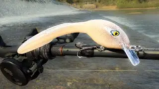 Was This As Seen On TV Lure Trolling Us?