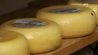Из чего это сделано? – Сыр Гауда  🎞
