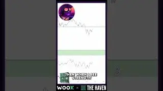 The best trading indicators for beginners🖊️