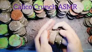Crunches Only Edit 4 in 1- 1086 Piece/Pasted Chalk/Treasure Hunt/Rainbow Crushes| Calico Crunch ASMR