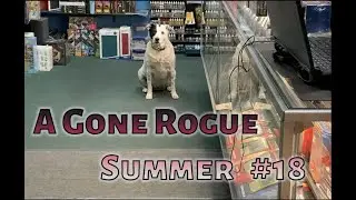 Gone Roguer #16:  A Gone Rogue Summer!!!