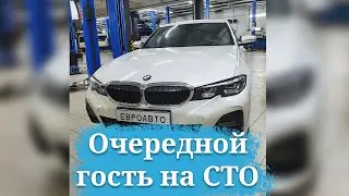 Замена сальника редуктора BMW G20 #BMW #G20 #Euroauto