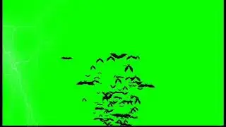 Green screen effect of (ghost story).#asmr #music #pewdiepie #markipiler