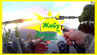 Suggest a Place for Fishing. I'll show you how things really are.