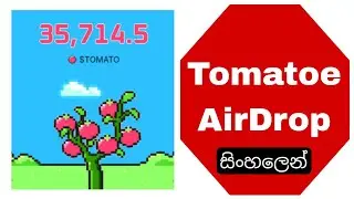 Tomarket Airdrop sinhala | Tomarket app tomatoe coin bitget wallet $1 hiru ada derana crypto airdrop