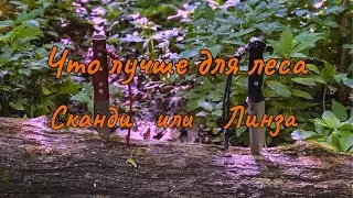 Не большой тест ножей от BEAVERKNIFE