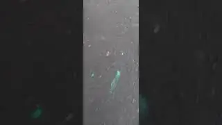 я люблю гулять на улице мне очень нравится гулять 2