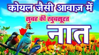 कोयल जैसी आवाज़ में नात | Heart touching naat 2024 | New Naat 2024