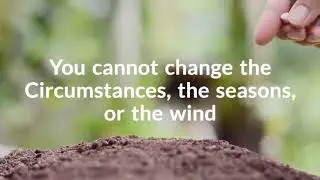 3 Tips on How You can Embrace Change
