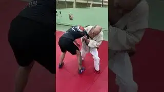 Что лучше самбо или дзюдо ? 