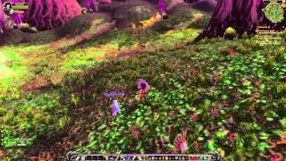 World of Warcraft ITA - Hunter (cacciatore)