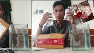 UNBOXING IKAN CUPANG!!