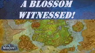 A Blossom Witnessed! Wow Quest | Emerald Dream