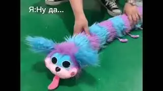 11 июня 2022 г.