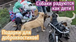 💔Приют выживает как может благодаря помощи людей/помогите спасти животных/help save homeless animals