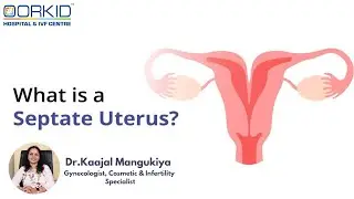 What is The Meaning of Septate Uterus ? | Septate Uterus causes, Symptoms, Diagnose, Treatment