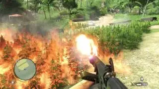 farcry3 сжигание травки
