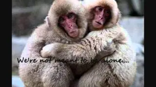 WWF
