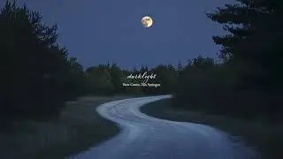 a quiet playlist for summer nights (reading/studying)