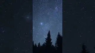 Nightsky view from my garden