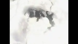 Новый проект