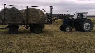 Мтз-50 загружает рулоны сена в телегу