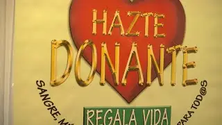 APOSTANDO POR LA VIDA