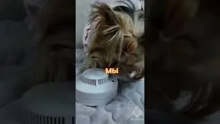Не забывайте о мерах пожарной безопасности!
