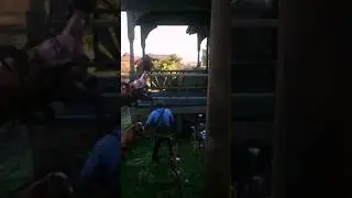 I Am Arthur Morgan I Punch Horses - Red Dead Redemption 2 #rdr2 #arthurmorgan #shorts
