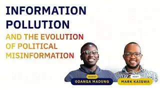 Information Pollution, Minimum Elections Standards * the evolution of politics on digital platforms