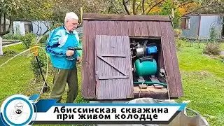 Абиссиним на замену колодца // необычный водонос