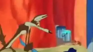 Kojot Hvata i Ubija Pticu Trkacicu NAPOKON !!!.flv