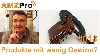 Produkte mit wenig Gewinn über Amzon FBA verkaufen #013 - AMZPro