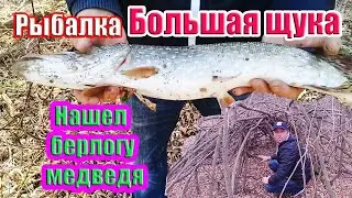 #рыбалка #насвежемвоздухе  Поймал большую Щуку | Рыбалка со спиннингом