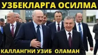 ХУШ ХАБАР МИРЗИЁЕВ ЛУКАШЕНКОНИ ГАЗИНИ БЕРДИ ТЕЗДА ТАРКАТИНГ