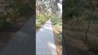 Анапа Прогулка утренняя