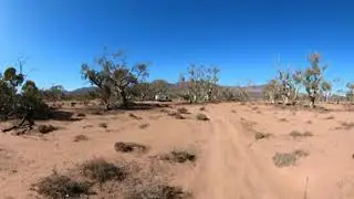 Edeowie Station July 2022. 360 Vid walk around camp site